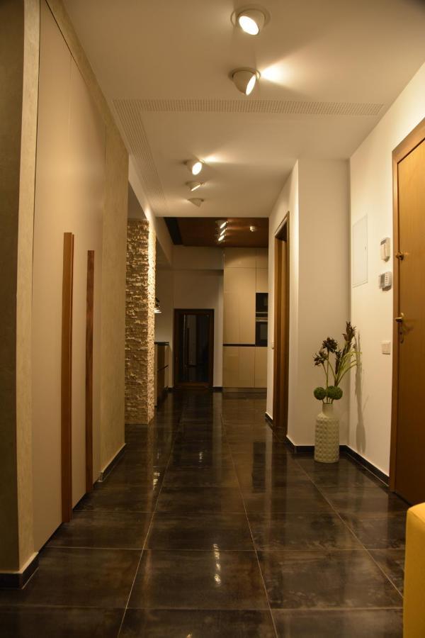 Juniper Apartment 布拉索夫 外观 照片