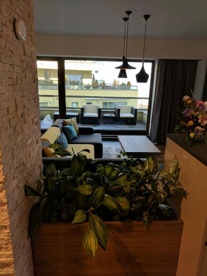 Juniper Apartment 布拉索夫 外观 照片